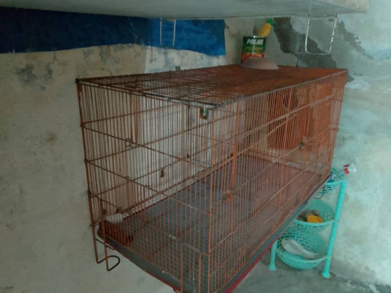cage for sale in Islamabad 1