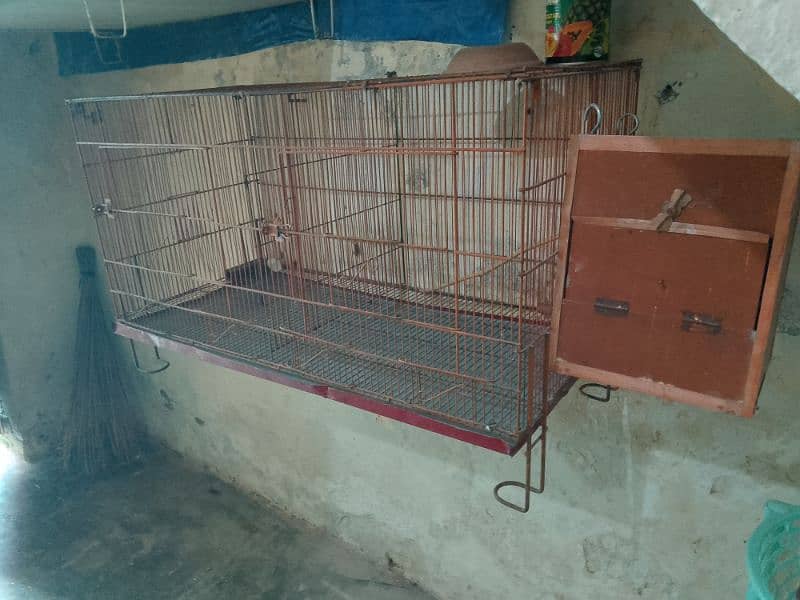 cage for sale in Islamabad 2