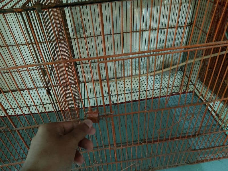 cage for sale in Islamabad 5