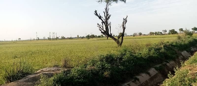Commercial Plot Available For Sale On Very Hot Location Of Mian Barki Road 1