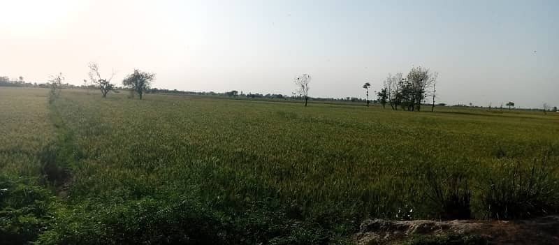 Commercial Plot Available For Sale On Very Hot Location Of Mian Barki Road 4