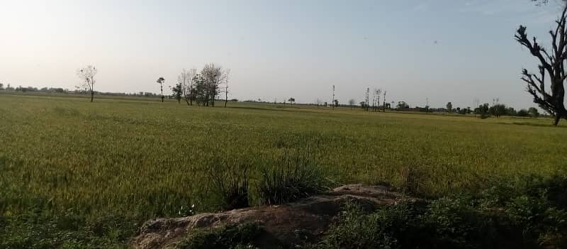 Commercial Plot Available For Sale On Very Hot Location Of Mian Barki Road 8