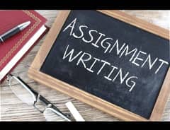 Assignment wirting work / Content writing