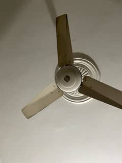 used fans in good condition
