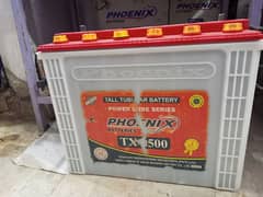 phoenix tall tubuler battery jumbo