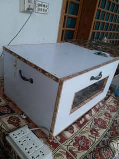 100 انڈا چوزا مشین incubator