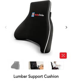 molty lumbar support