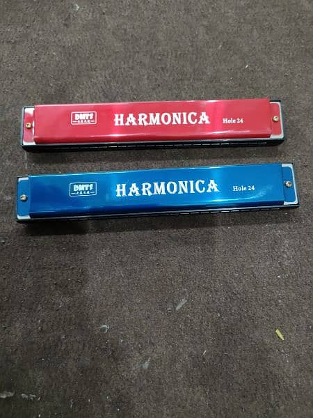 Harmonica / mouth organ  24 wholes 5