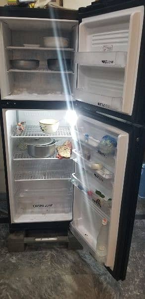 Pel Brand new Fridge Glass door prism Mahroon 4