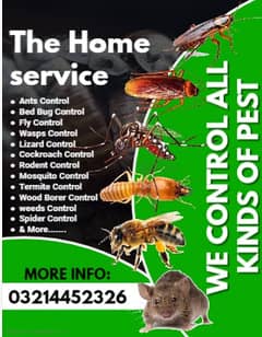 Dheemak control / Termite Control / Pest Control / Mosquito Spray