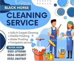 Black Horse Cleaning services