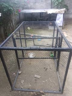 bird cages pinjra/high quality iron cage/hen cage 0