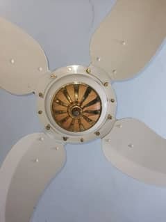 Sonex Pure copper ceiling fan  8 month used(pair)