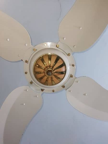 Sonex Pure copper ceiling fan  8 month used(pair) 0