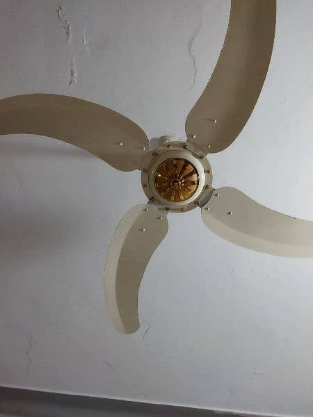 Sonex Pure copper ceiling fan  8 month used(pair) 1