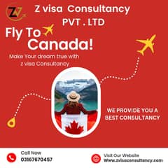 work visa usa uk canada travel & visa