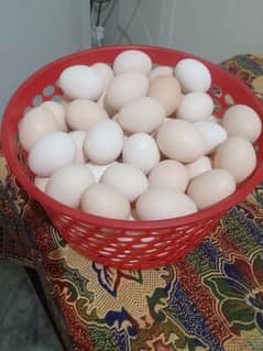 pure desi eggs 0