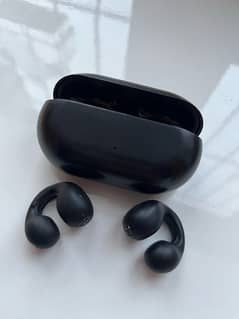 2 wireless earbuds