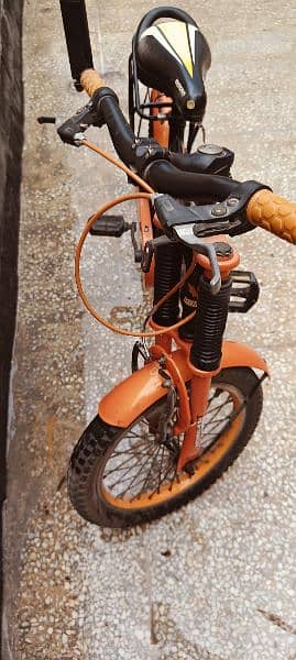 Morgan bicycle for older kids 5