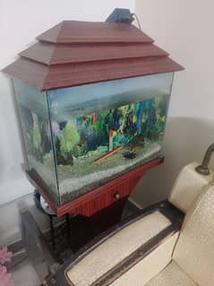 Aquarium with Fish and Air Pump