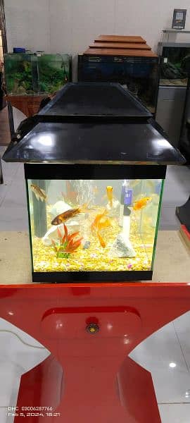Fancy Fish Tank 7