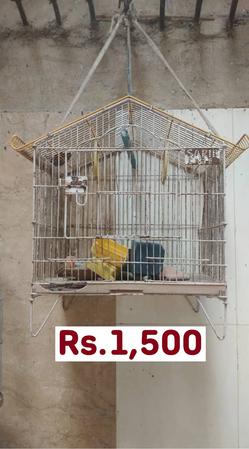 Used Birds Cages (Prices in pictures) 2