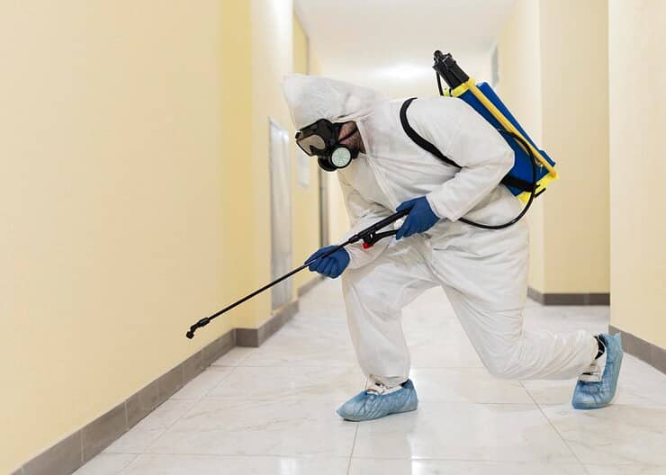 Pest Control/ Termite Control/Fumigation Spray/Deemak Control Services 4