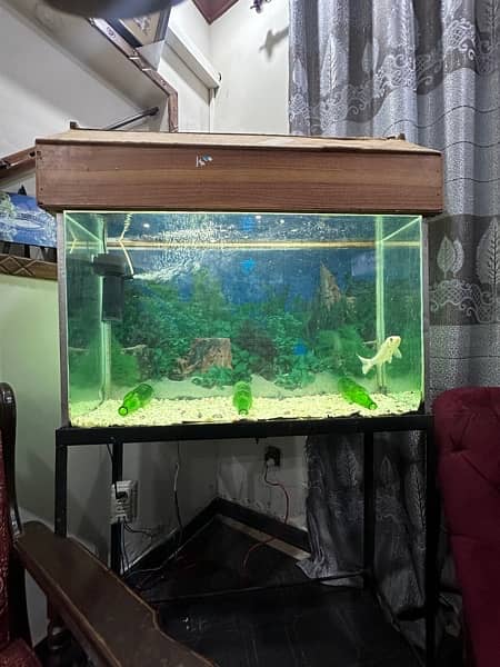 aquarium full setup for sale (urgent) 3
