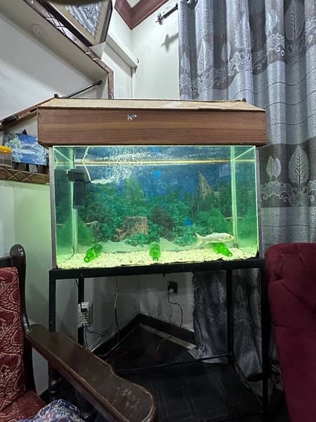 aquarium full setup for sale (urgent) 4