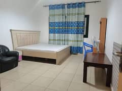 Furnished room w/ Bath _ only for working females(parking available)