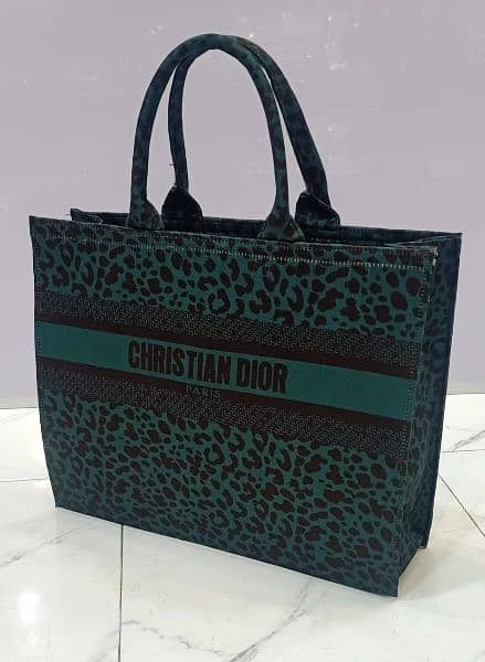Christian Dior Hand Bag 5