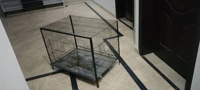 3 by 2 by2 cage for sale