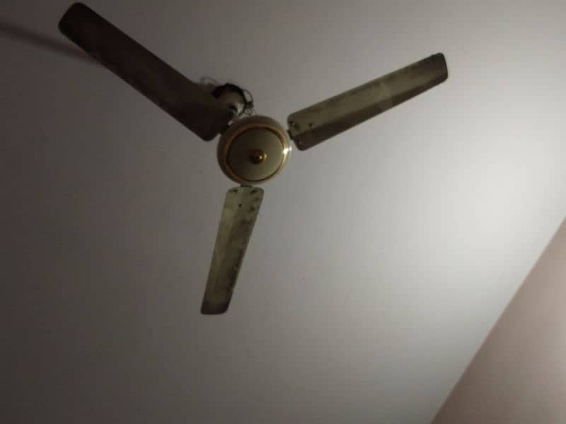Fan roof ceiling 0