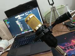BM800 - Professional Condenser Microphone