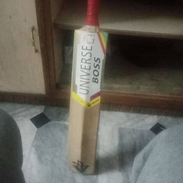 Extreme Light weight hard ball cricket bat  with 11 grains 1