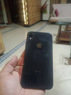 Apple phone (XR)