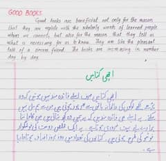 Urdu English Assignment writing