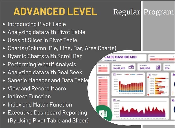 Advanced Excel Course/Training/Tution/Coaching/Academy/online classes 2