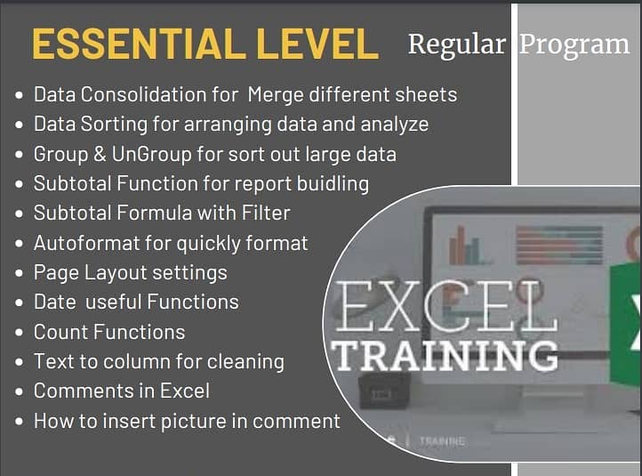 Professional Advanced MS Excel Course/Training/Tution/Online Classes 2