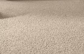 skin color full big room carpet for sale, 14 by 12 size 0