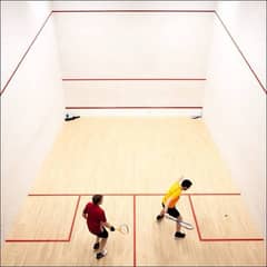 squash court badminton court basketball court pedel court football cou 0