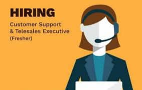 We are looking for Telesales executive