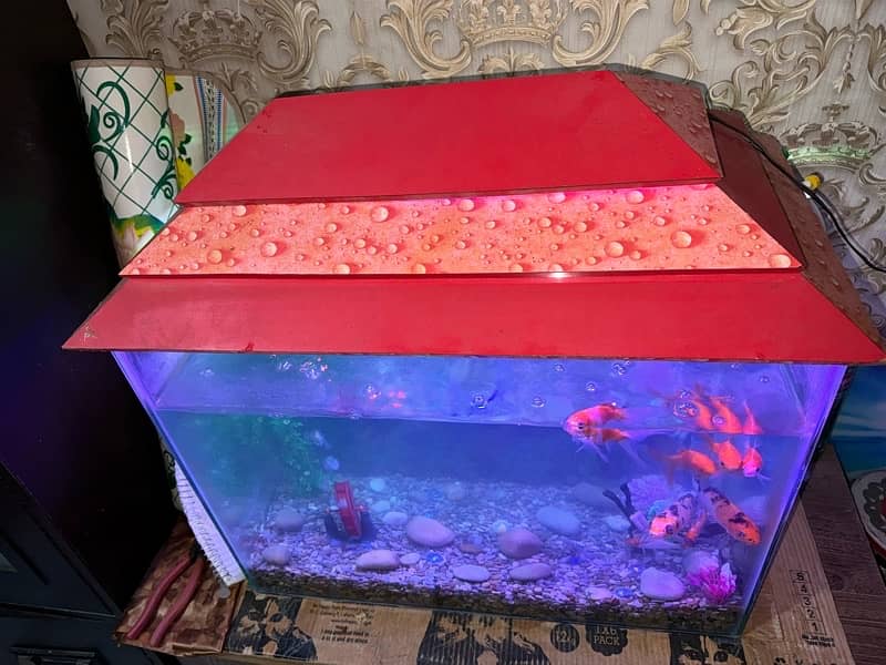 fish acqurium for sale with all 10 fishes 1