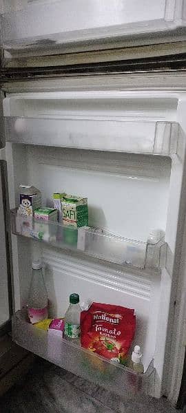 PEL Refrigerator 4