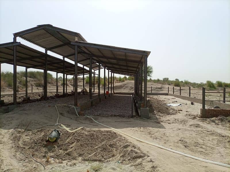 Dairy Farm Shade 2