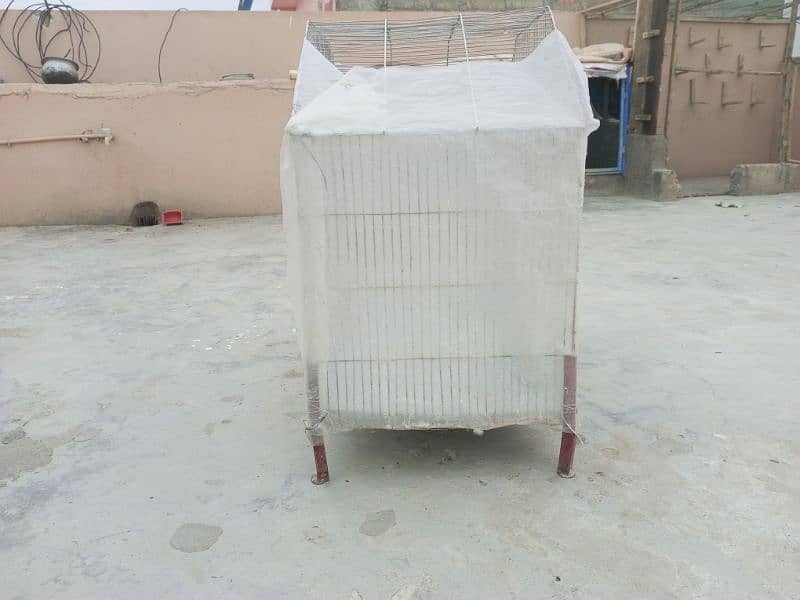 steal or wooden cage urgent for sale 2