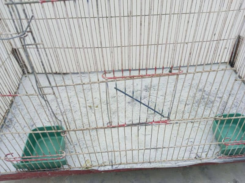 steal or wooden cage urgent for sale 4