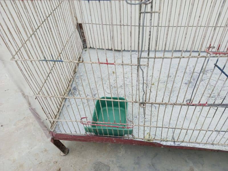 steal or wooden cage urgent for sale 5