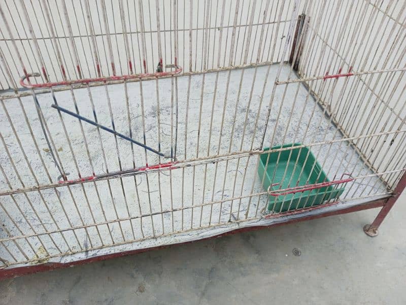 steal or wooden cage urgent for sale 6