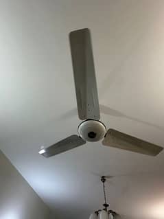 Pak ceiling Fan like new 0